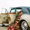 rabiasassi320