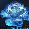 user5741660303081