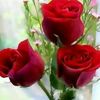user2093813239119