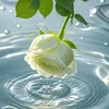 thuy12048