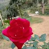 minhnguyen5590