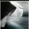 sumarnimarni6343