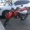 edwarddelacruz461