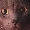 punkiepie_