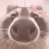 jess_8973