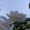 yousseftaha3862
