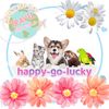 babypets.danina