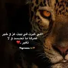 tu__2002
