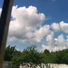 leeloree_