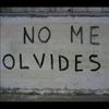 flores.1998_..........1