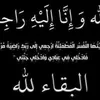 user8175516127570