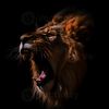 christontheyoung_lion