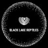 Black_Lake_Reptiles