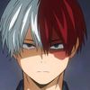 shoto_duck1