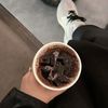 wienz_83