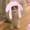 jay_pownall07
