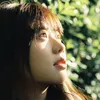 nghi.xun02