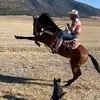 elnapojmz