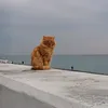 officetiktok03