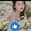lynguyen19870901