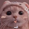 binbabygame