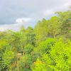 kashmir_alay04