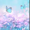 queens_5271