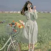 aysha5623