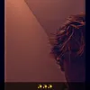 tclr_19