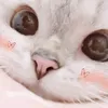 sayymaira09