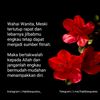 ummubina456
