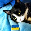 badbkitty181