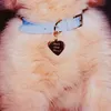 fluffycarpenter