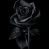 malixsayed