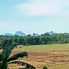 jonbun_23