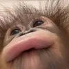 jhncarl2