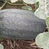 namnguyennamnguye68