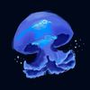 bal_19_