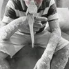 davidaccioly_