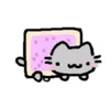 san_chek_