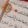 .nour.al.midan