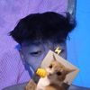 alfianalmarendra10