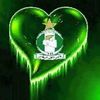 haiderreyal