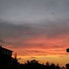 sevvalzgn