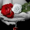 user1181831436590
