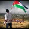 user8070338486099