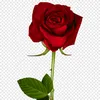 user7608196268310