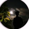 ze_11.5