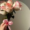 shahed.3090