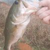 deadlystrikersoutdoors